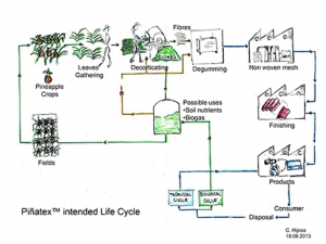 Pinatex_Lebenszyklus