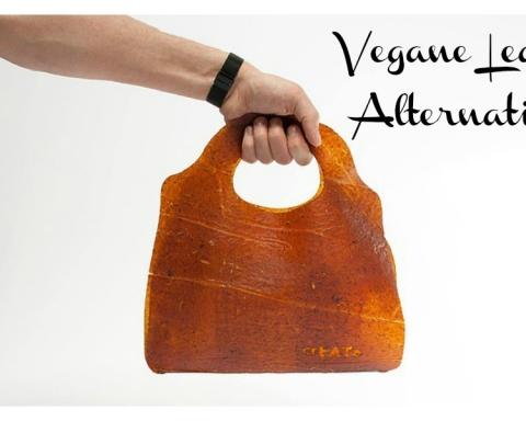 Fruit Leather veganes leder