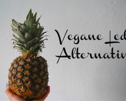 Vegane Leder Alternativen